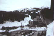 st_softie.jpg (46127 bytes)