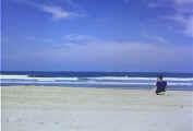 venice_beach.jpg (19979 bytes)