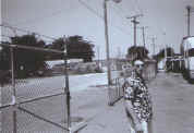 shagga_razorwire.jpg (77590 bytes)