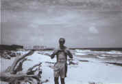 topless.jpg (57711 bytes)