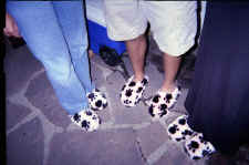 slippers.jpg (93585 bytes)