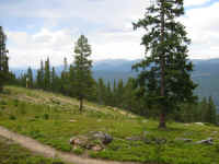 trail2.jpg (47512 bytes)