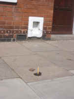 dog_turd.jpg (225505 bytes)