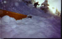 large_snow.jpg (45750 bytes)