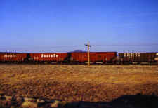 train.jpg (92562 bytes)