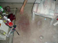 red_wine_stain.jpg (109638 bytes)