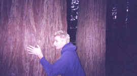 me_redwood.jpg (111732 bytes)