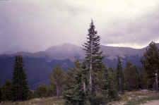 wp_rain.jpg (78259 bytes)