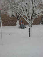 snowman.jpg (180252 bytes)