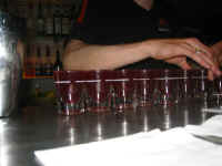 purple_hooters.jpg (76224 bytes)