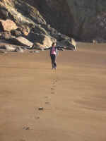 kt_beach.jpg (124319 bytes)