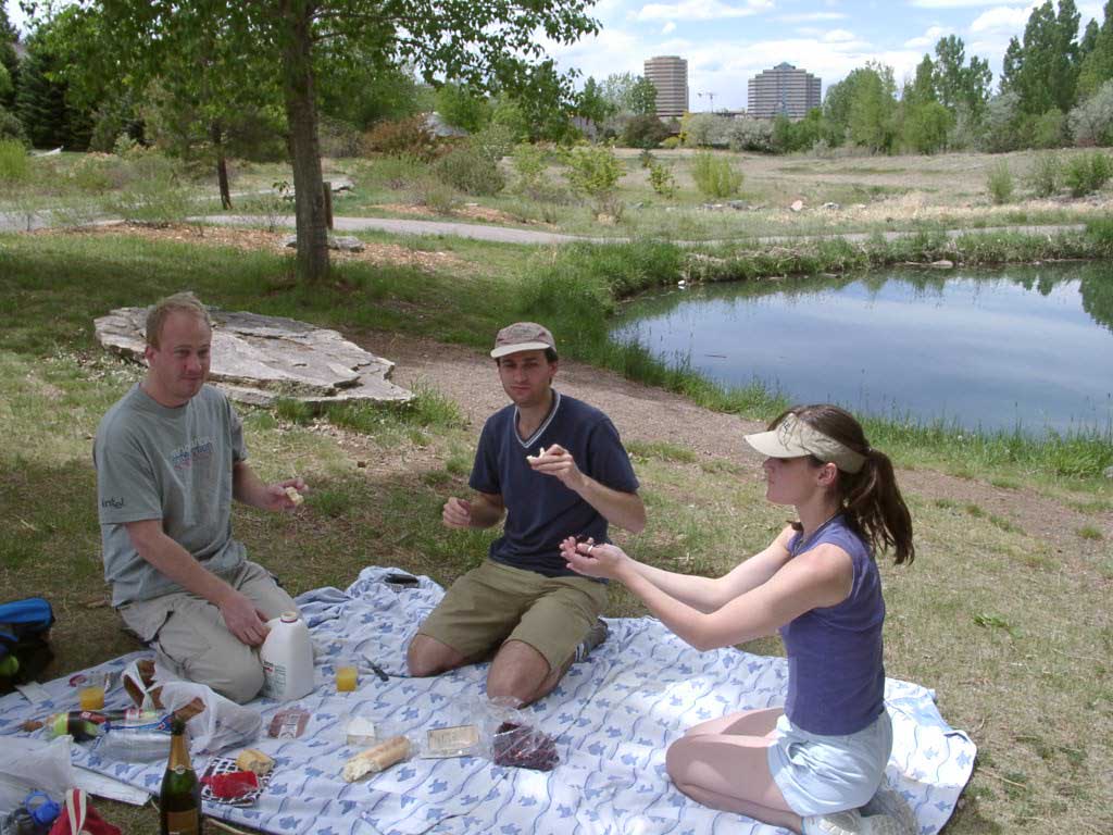 picnic.jpg