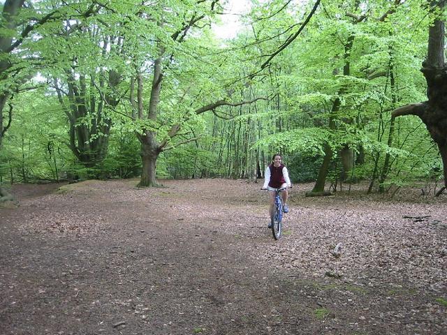 5_kt_epping_forest2.jpg