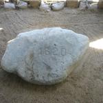 16_plymouth_rock.jpg
