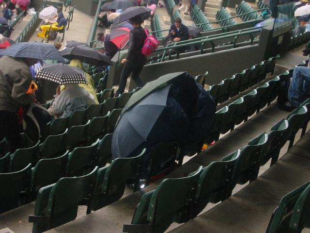 3_brollies.jpg