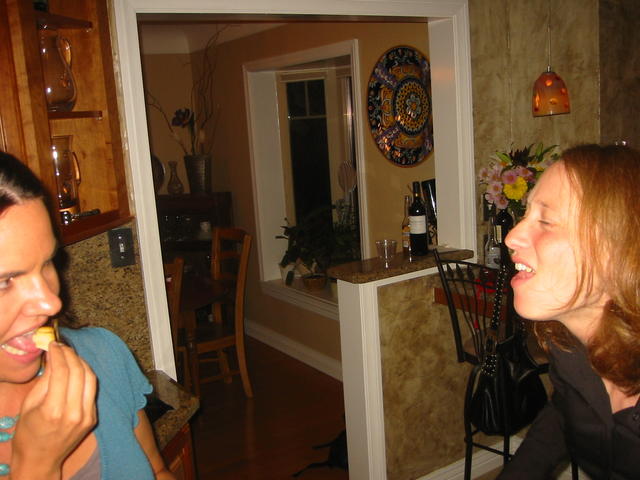 The Bridge over the river Snake