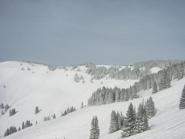back_bowls...warm day