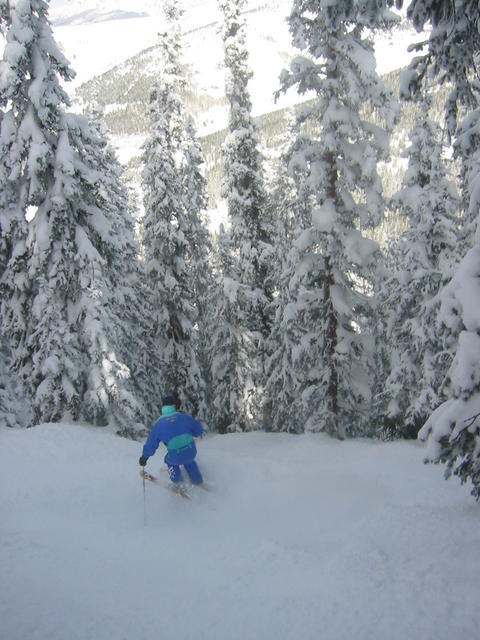 softy &amp; his permanently stuck-out arse