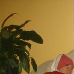 Clarkson not quite warm enough for Susan