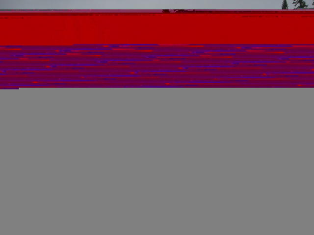 teaching shiv's non-bird at keystone