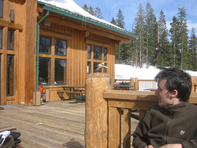 birdie giving shiv some 'tude