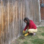 planting_vines...mixed results