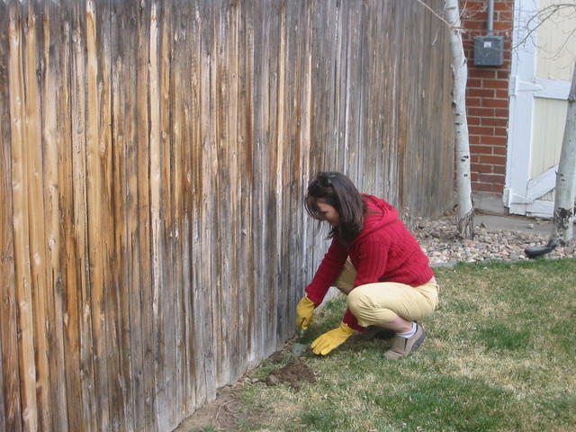 planting_vines...mixed results