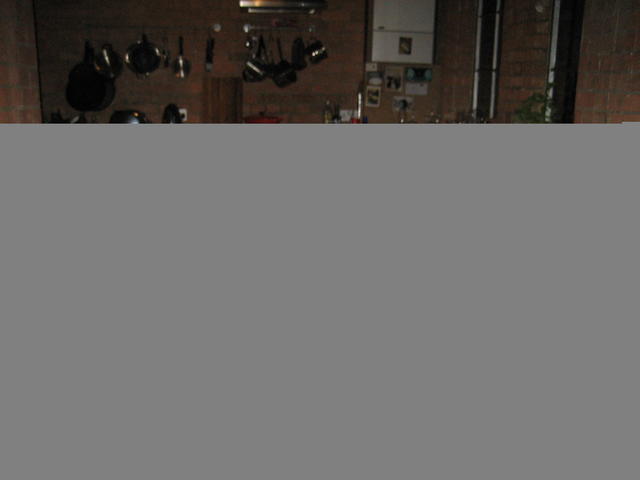 dani, in awe of the batty karaoke act