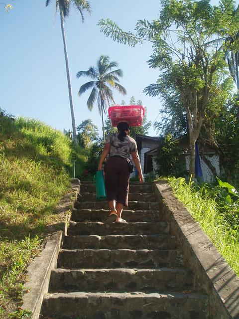 2_basket_on_head.jpg
