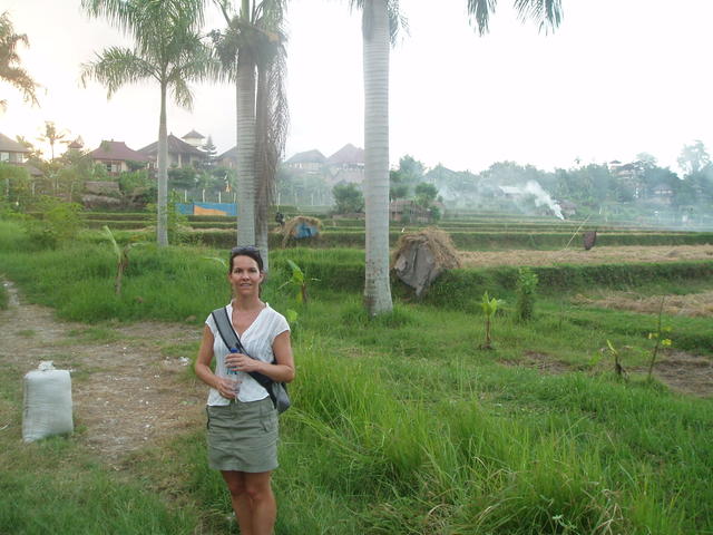 12_kt_rice_field.jpg