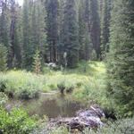 cycling past, erm, beaver ponds en route to the Outback (Keystone)