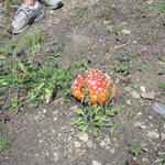 cycling. no lifts. river run -> top of outpost lodge. aiiiiie!