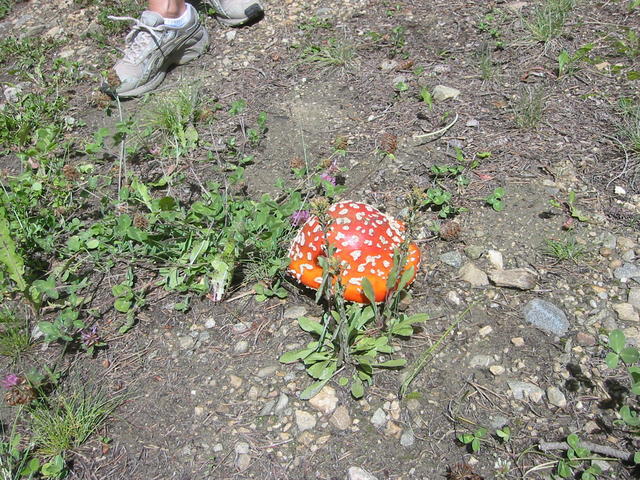 cycling. no lifts. river run -> top of outpost lodge. aiiiiie!