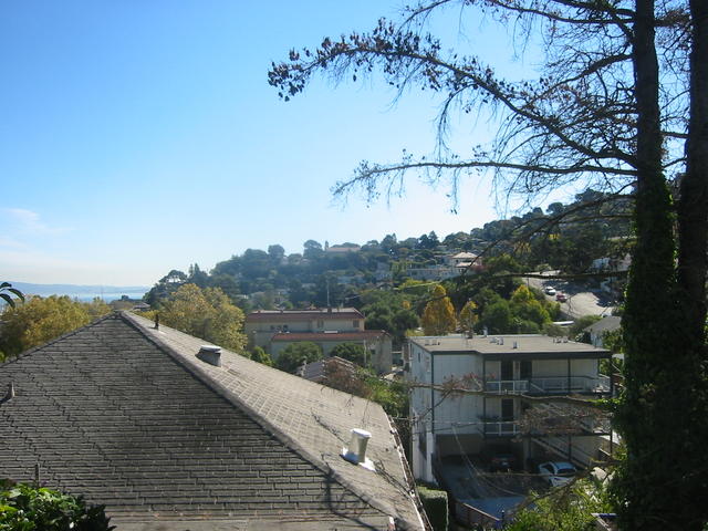 hillside_view