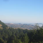 stinson_view north