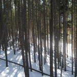 klimmt might have something to say...