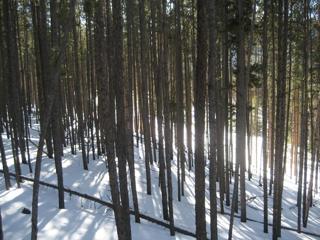 klimmt might have something to say...