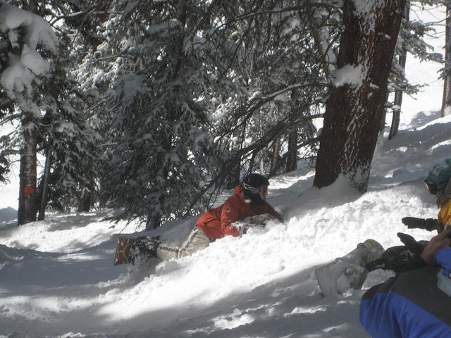 site rarer than a lynx: ash on snow