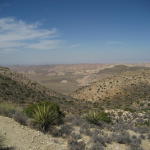 joshua_tree_valley