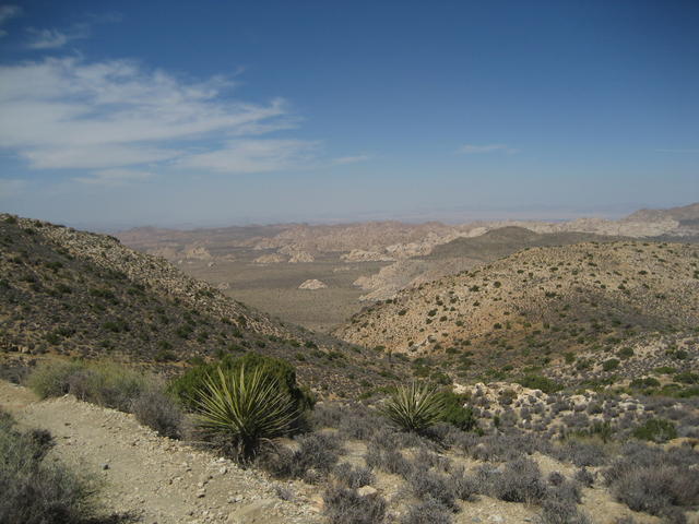 joshua_tree_valley