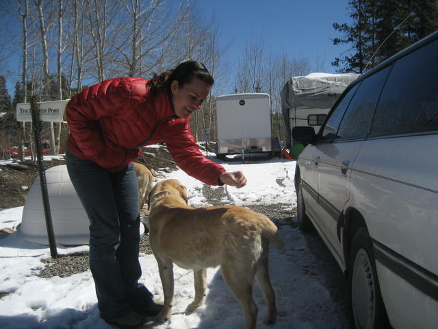 2 maltreated dogs in frisco...