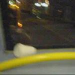 nightbus during world cup