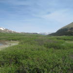 mt_bierstadt...first 14er