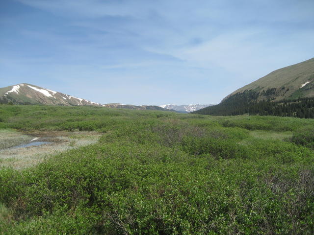 mt_bierstadt...first 14er