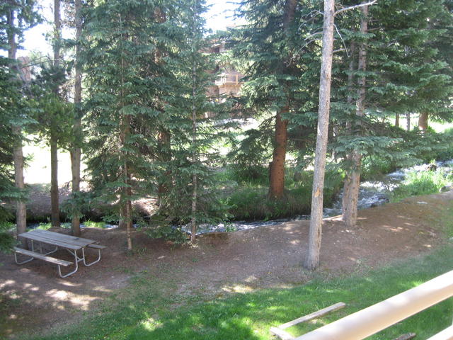 wildwood...rival to the skankhauser