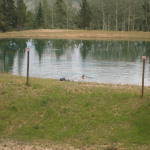 is_it_a_beaver...no, it's the flange