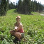 picking wild_raspberries on aspen mountain
