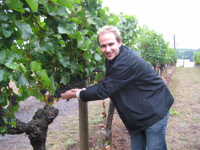 it ain't california...soggy grapes