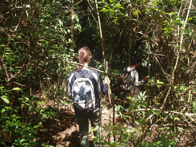 11_jungle_trek2.jpg