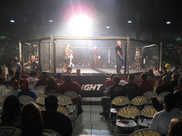 cage_fighting